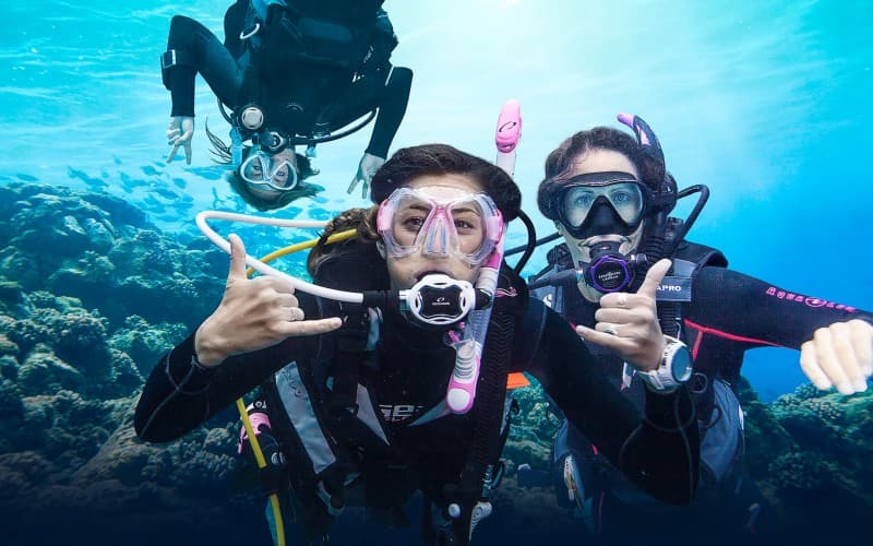 Diving Into The Deep Blue C